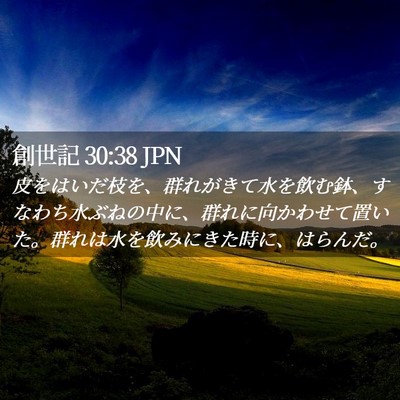 Picture 02 - 創世記 30:38 JPN - 皮をはいだ枝を、群れがきて水を飲 - Bible Verse Picture
