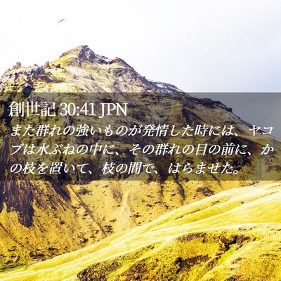 Picture 02 - 創世記 30:41 JPN - また群れの強いものが発情した時に - Bible Verse Picture