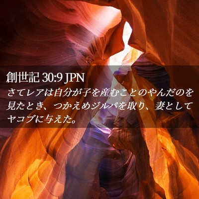 Picture 02 - 創世記 30:9 JPN - さてレアは自分が子を産むことのや - Bible Verse Picture