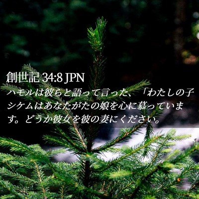 Picture 02 - 創世記 34:8 JPN - ハモルは彼らと語って言った、「わ - Bible Verse Picture