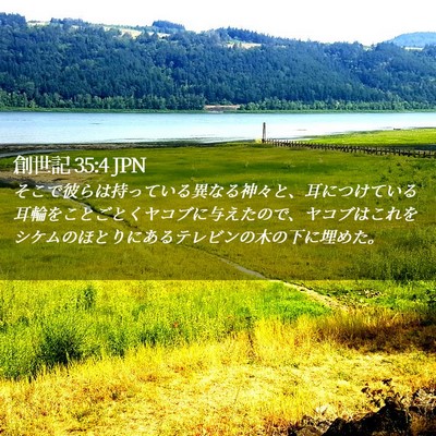 Picture 02 - 創世記 35:4 JPN - そこで彼らは持っている異なる神々 - Bible Verse Picture