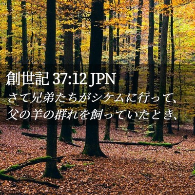 Picture 02 - 創世記 37:12 JPN - さて兄弟たちがシケムに行って、父 - Bible Verse Picture