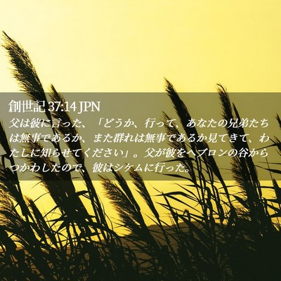 Picture 02 - 創世記 37:14 JPN - 父は彼に言った、「どうか、行って - Bible Verse Picture