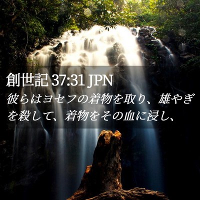 Picture 02 - 創世記 37:31 JPN - 彼らはヨセフの着物を取り、雄やぎ - Bible Verse Picture