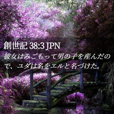 Picture 02 - 創世記 38:3 JPN - 彼女はみごもって男の子を産んだの - Bible Verse Picture