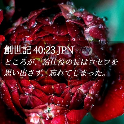 Picture 02 - 創世記 40:23 JPN - ところが、給仕役の長はヨセフを思 - Bible Verse Picture