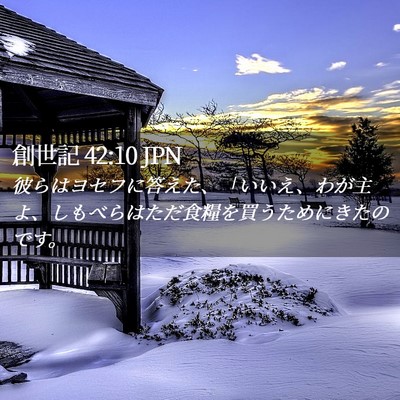 Picture 02 - 創世記 42:10 JPN - 彼らはヨセフに答えた、「いいえ、 - Bible Verse Picture
