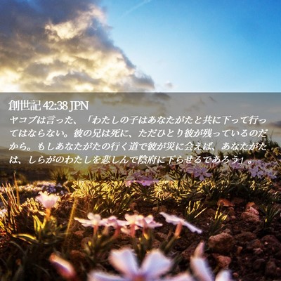 Picture 02 - 創世記 42:38 JPN - ヤコブは言った、「わたしの子はあ - Bible Verse Picture