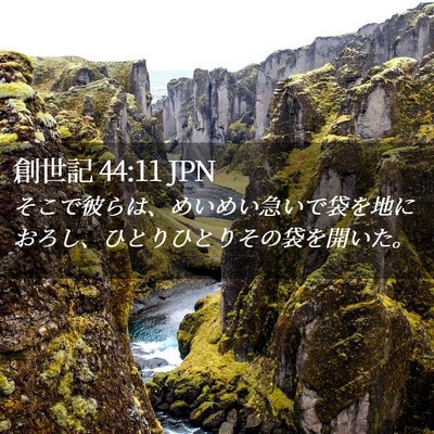 Picture 02 - 創世記 44:11 JPN - そこで彼らは、めいめい急いで袋を - Bible Verse Picture