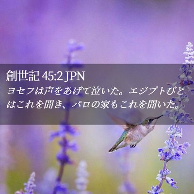 Picture 02 - 創世記 45:2 JPN - ヨセフは声をあげて泣いた。エジプ - Bible Verse Picture