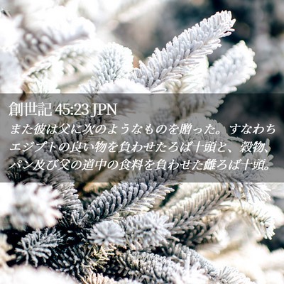 Picture 02 - 創世記 45:23 JPN - また彼は父に次のようなものを贈っ - Bible Verse Picture