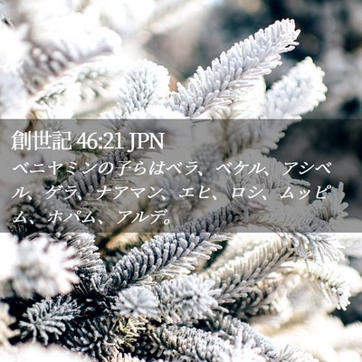 Picture 02 - 創世記 46:21 JPN - ベニヤミンの子らはベラ、ベケル、 - Bible Verse Picture