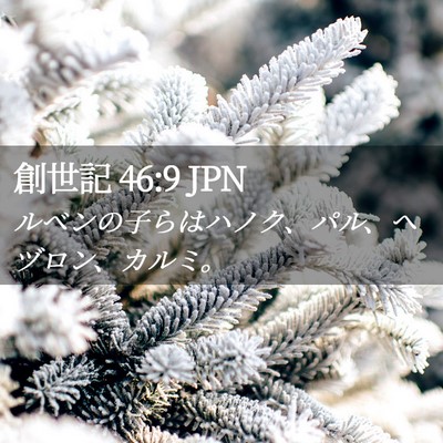 Picture 02 - 創世記 46:9 JPN - ルベンの子らはハノク、パル、ヘヅ - Bible Verse Picture