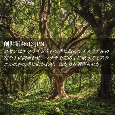 Picture 02 - 創世記 48:13 JPN - ヨセフはエフライムを右の手に取っ - Bible Verse Picture