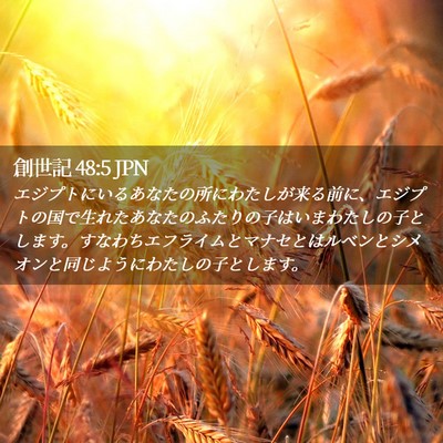 Picture 02 - 創世記 48:5 JPN - エジプトにいるあなたの所にわたし - Bible Verse Picture