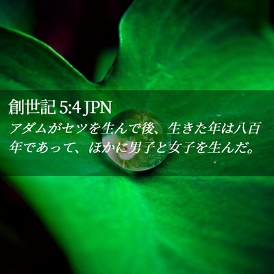 Picture 02 - 創世記 5:4 JPN - アダムがセツを生んで後、生きた年 - Bible Verse Picture
