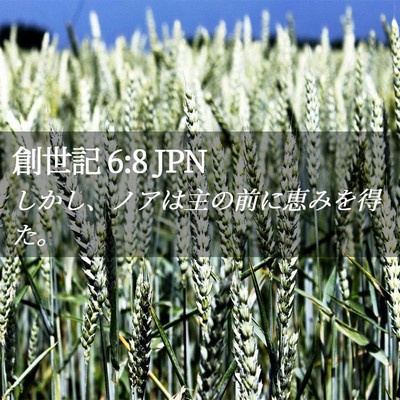 Picture 02 - 創世記 6:8 JPN - しかし、ノアは主の前に恵みを得た - Bible Verse Picture