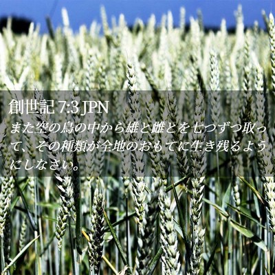 Picture 02 - 創世記 7:3 JPN - また空の鳥の中から雄と雌とを七つ - Bible Verse Picture