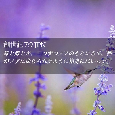 Picture 02 - 創世記 7:9 JPN - 雄と雌とが、二つずつノアのもとに - Bible Verse Picture