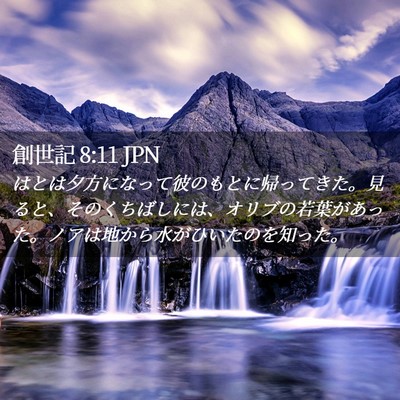 Picture 02 - 創世記 8:11 JPN - はとは夕方になって彼のもとに帰っ - Bible Verse Picture