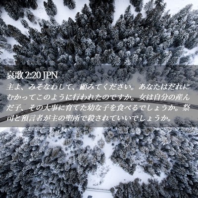 Picture 02 - 哀歌 2:20 JPN - 主よ、みそなわして、顧みてくださ - Bible Verse Picture