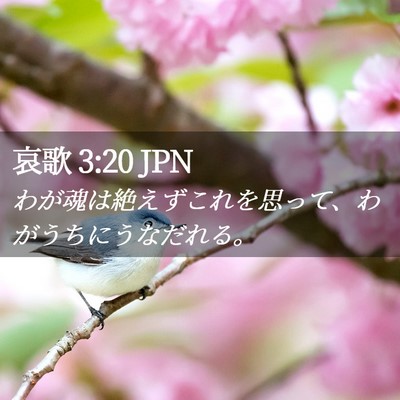 Picture 02 - 哀歌 3:20 JPN - わが魂は絶えずこれを思って、わが - Bible Verse Picture