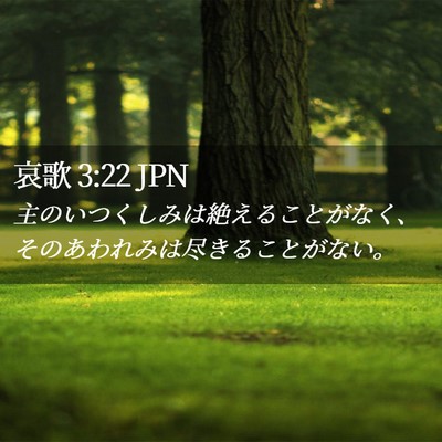 Picture 02 - 哀歌 3:22 JPN - 主のいつくしみは絶えることがなく - Bible Verse Picture