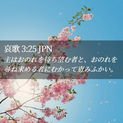 Picture 02 - 哀歌 3:25 JPN - 主はおのれを待ち望む者と、おのれ - Bible Verse Picture