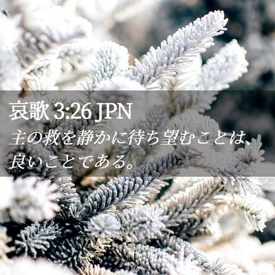 Picture 02 - 哀歌 3:26 JPN - 主の救を静かに待ち望むことは、良 - Bible Verse Picture