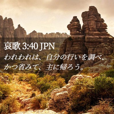 Picture 02 - 哀歌 3:40 JPN - われわれは、自分の行いを調べ、か - Bible Verse Picture