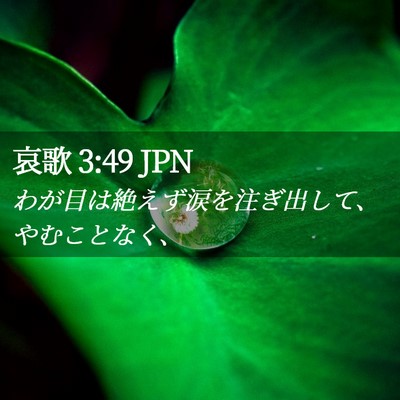 Picture 02 - 哀歌 3:49 JPN - わが目は絶えず涙を注ぎ出して、や - Bible Verse Picture