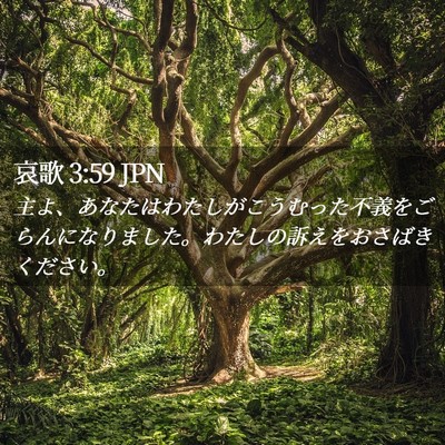 Picture 02 - 哀歌 3:59 JPN - 主よ、あなたはわたしがこうむった - Bible Verse Picture