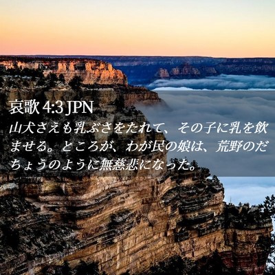Picture 02 - 哀歌 4:3 JPN - 山犬さえも乳ぶさをたれて、その子 - Bible Verse Picture