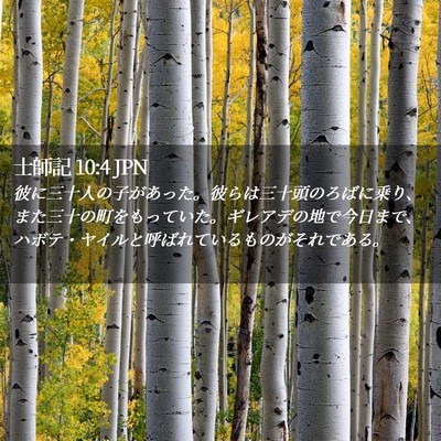Picture 02 - 士師記 10:4 JPN - 彼に三十人の子があった。彼らは三 - Bible Verse Picture
