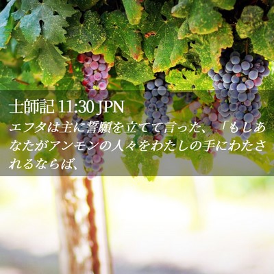 Picture 02 - 士師記 11:30 JPN - エフタは主に誓願を立てて言った、 - Bible Verse Picture