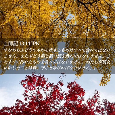 Picture 02 - 士師記 13:14 JPN - すなわちぶどうの木から産するもの - Bible Verse Picture