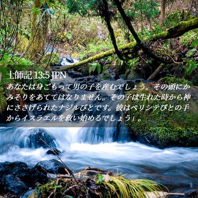Picture 02 - 士師記 13:5 JPN - あなたは身ごもって男の子を産むで - Bible Verse Picture