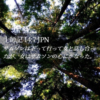 Picture 02 - 士師記 14:7 JPN - サムソンは下って行って女と話し合 - Bible Verse Picture