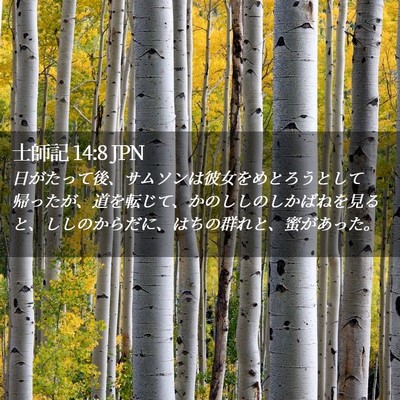 Picture 02 - 士師記 14:8 JPN - 日がたって後、サムソンは彼女をめ - Bible Verse Picture