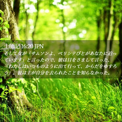 Picture 02 - 士師記 16:20 JPN - そして女が「サムソンよ、ペリシテ - Bible Verse Picture