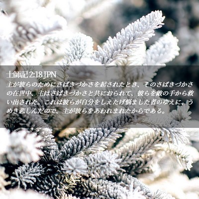 Picture 02 - 士師記 2:18 JPN - 主が彼らのためにさばきづかさを起 - Bible Verse Picture