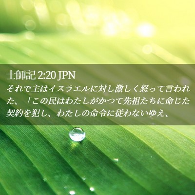 Picture 02 - 士師記 2:20 JPN - それで主はイスラエルに対し激しく - Bible Verse Picture