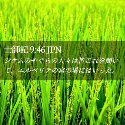Picture 02 - 士師記 9:46 JPN - シケムのやぐらの人々は皆これを聞 - Bible Verse Picture
