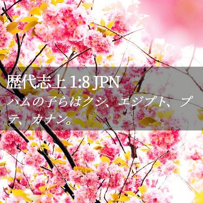 Picture 02 - 歴代志上 1:8 JPN - ハムの子らはクシ、エジプト、プテ - Bible Verse Picture
