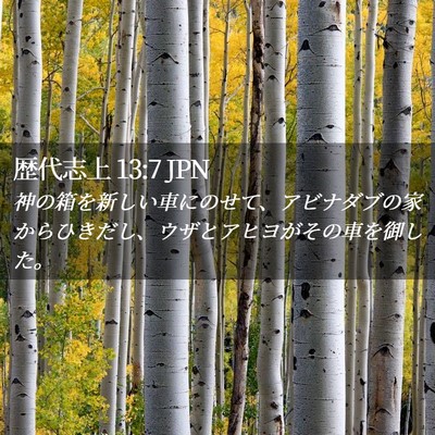 Picture 02 - 歴代志上 13:7 JPN - 神の箱を新しい車にのせて、アビナ - Bible Verse Picture