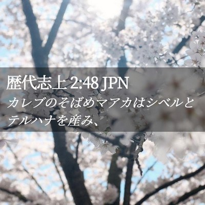 Picture 02 - 歴代志上 2:48 JPN - カレブのそばめマアカはシベルとテ - Bible Verse Picture