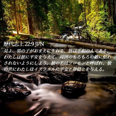 Picture 02 - 歴代志上 22:9 JPN - 見よ、男の子がおまえに生れる。彼 - Bible Verse Picture