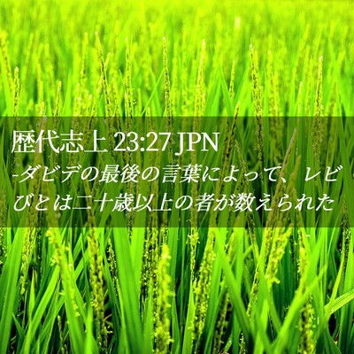 Picture 02 - 歴代志上 23:27 JPN - -ダビデの最後の言葉によって、レビ - Bible Verse Picture
