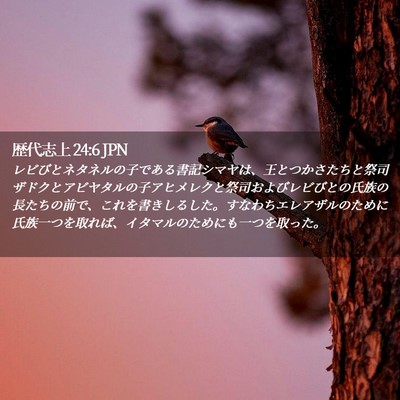 Picture 02 - 歴代志上 24:6 JPN - レビびとネタネルの子である書記シ - Bible Verse Picture