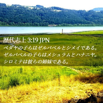 Picture 02 - 歴代志上 3:19 JPN - ペダヤの子らはゼルバベルとシメイ - Bible Verse Picture